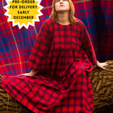 The Everything Dress in Red Check