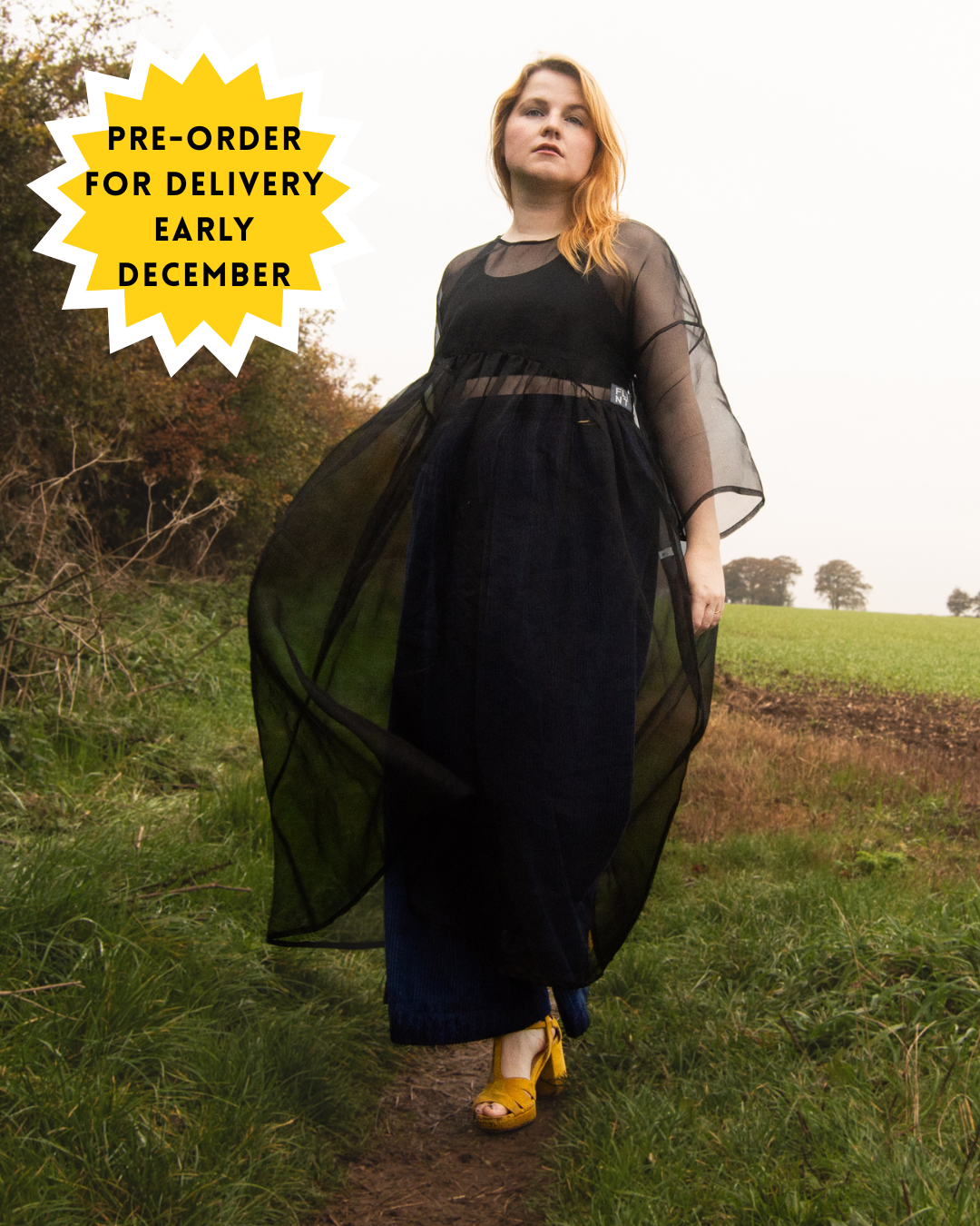 PRE ORDER The Everything Dress in Black Silk Organza - House of Flint